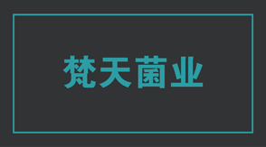 食品行业南京工作服设计款式